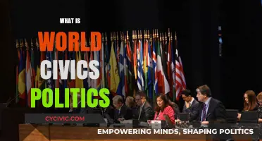 Understanding World Civics Politics: Global Governance, Democracy, and Citizenship Explained