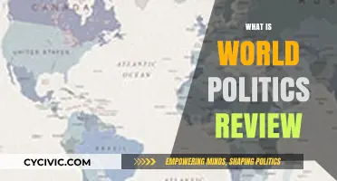 Understanding World Politics Review: Global Insights and Analysis Explained