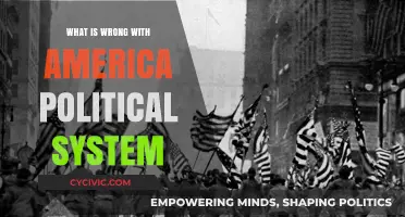 Crisis in Governance: Diagnosing the Ailments of America's Political System