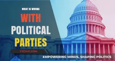The Dysfunctional Politics: Uncovering the Flaws in Modern Political Parties