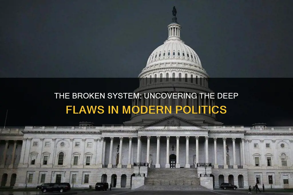 what is wrong with politics