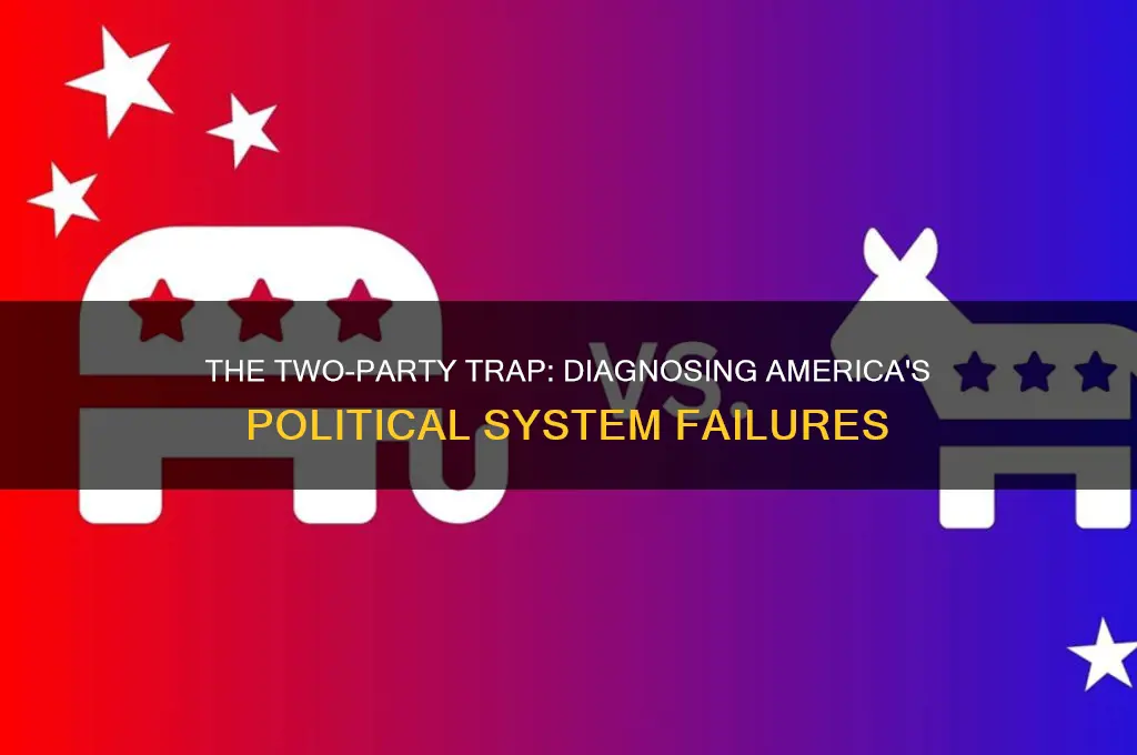 what is wrong with the american political system two party