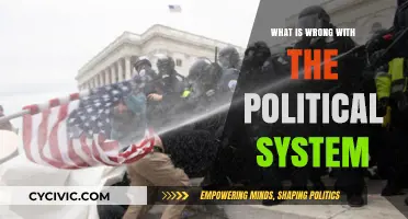 Deciphering Dysfunction: A Critical Look at Today's Political System
