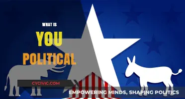 Exploring Political Beliefs: Understanding Your Ideologies and Values