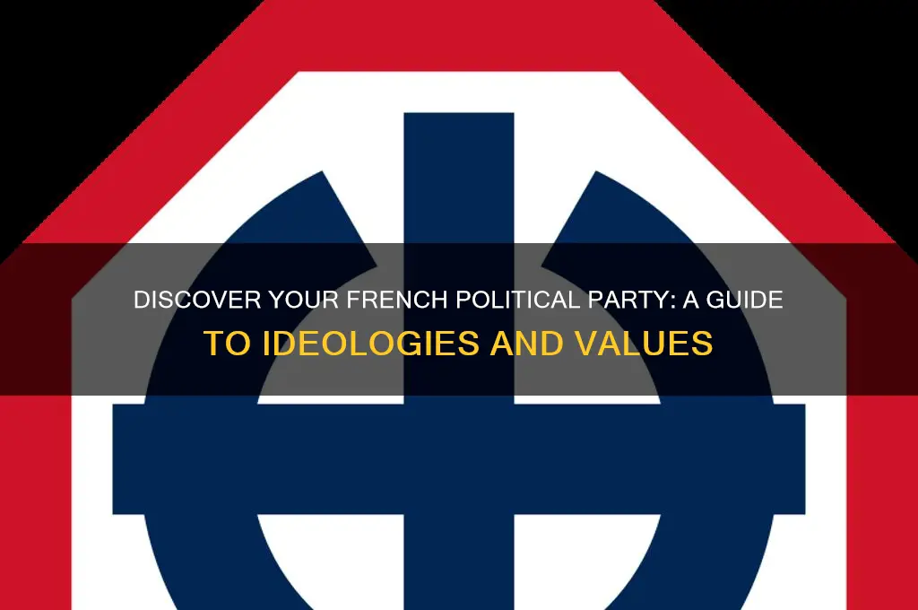 what is your french political party