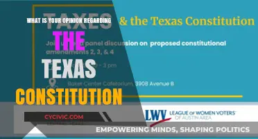 Texas Constitution: A Personal Perspective