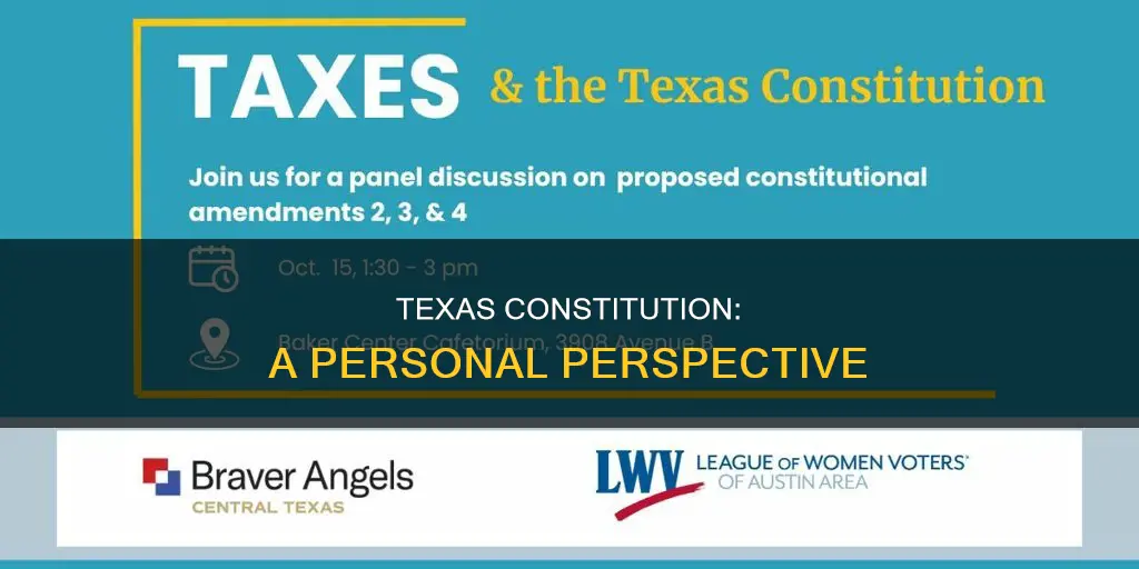 what is your opinion regarding the texas constitution