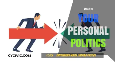 Exploring Personal Politics: Values, Beliefs, and Their Impact on Society