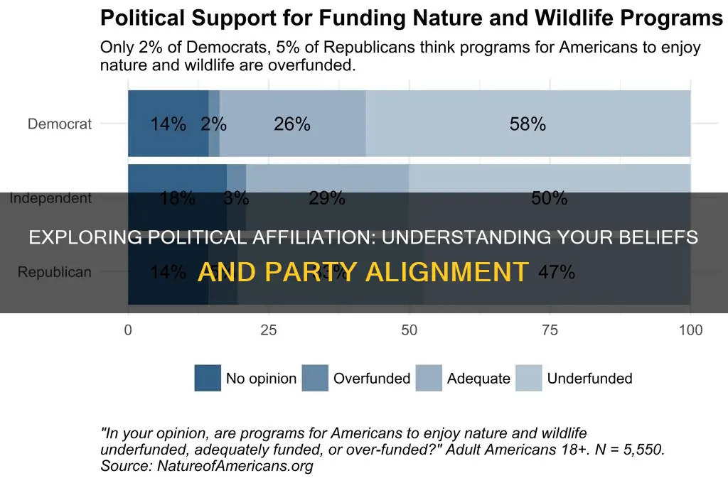 what is your political affliation