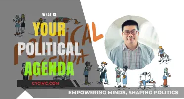 Unveiling My Political Agenda: Core Values, Goals, and Vision for Change