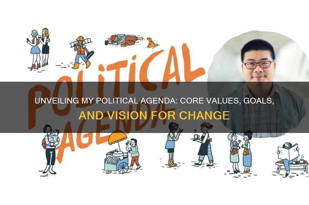 what is your political agenda