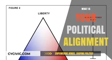 Understanding Your Political Alignment: A Guide to Ideological Self-Discovery