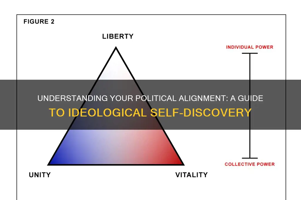 what is your political alignment