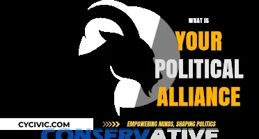 Understanding Your Political Alliance: Values, Beliefs, and Civic Engagement