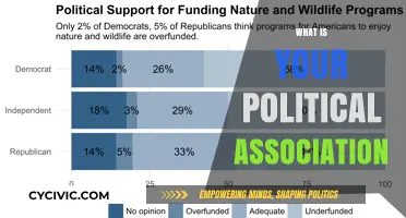 Exploring Political Affiliation: Understanding Your Beliefs and Party Association