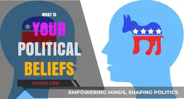 Exploring My Political Beliefs: Values, Principles, and Ideologies Shaping My Views