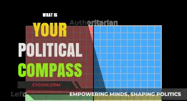 Understanding Your Political Compass: Navigating Ideologies and Personal Beliefs