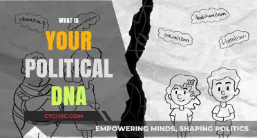 Unraveling Your Political DNA: Beliefs, Values, and Identity Explored