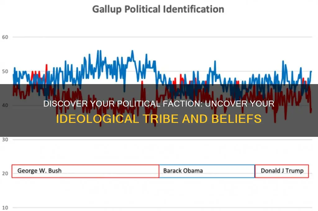 what is your political faction