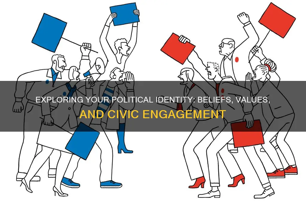 what is your political identity