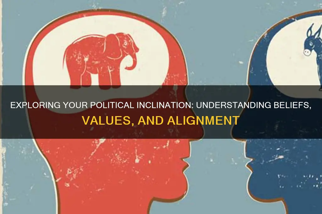 what is your political inclination