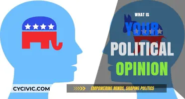 Exploring Political Perspectives: Understanding Your Beliefs and Values