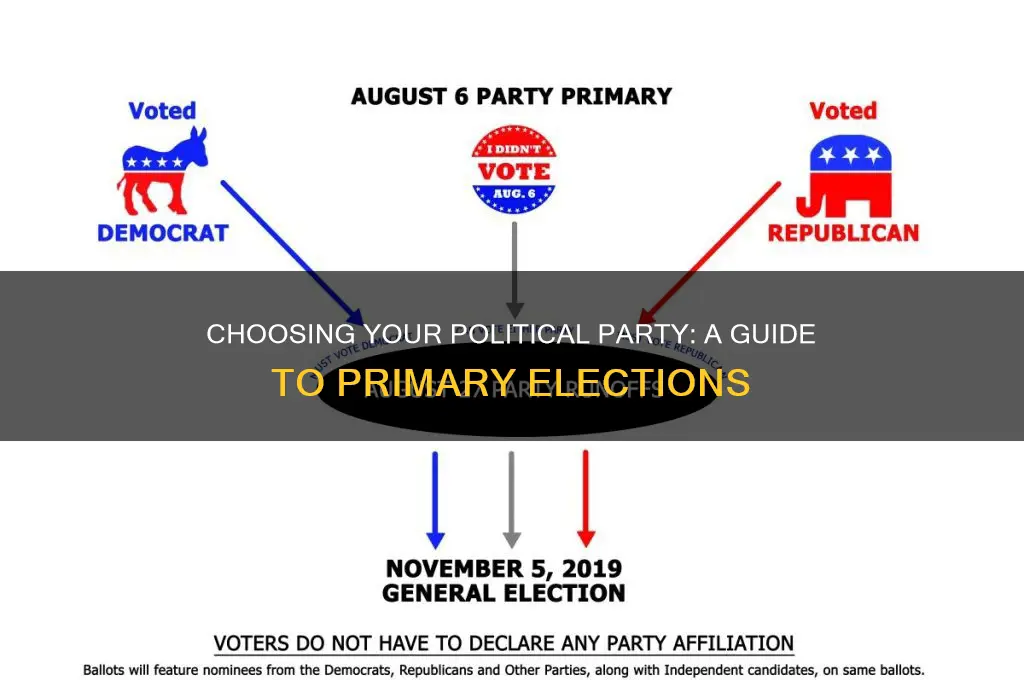 what is your political party for primary elections