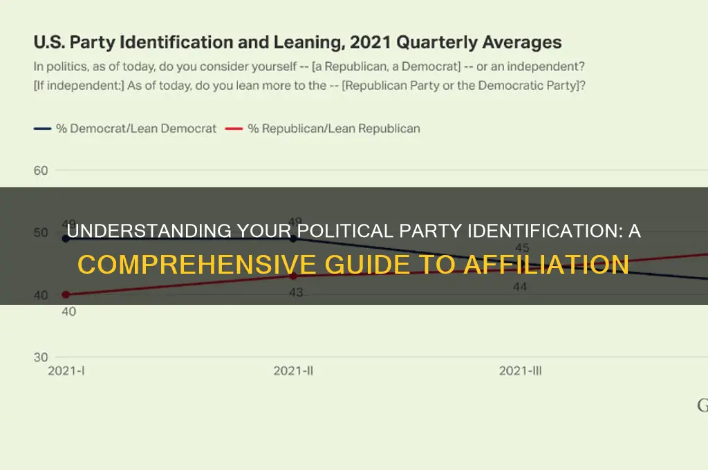 what is your political party identification
