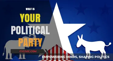 Understanding Your Political Party: Values, Beliefs, and Alignment Explained
