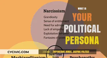 Discover Your Political Persona: Unveiling Beliefs, Values, and Civic Identity