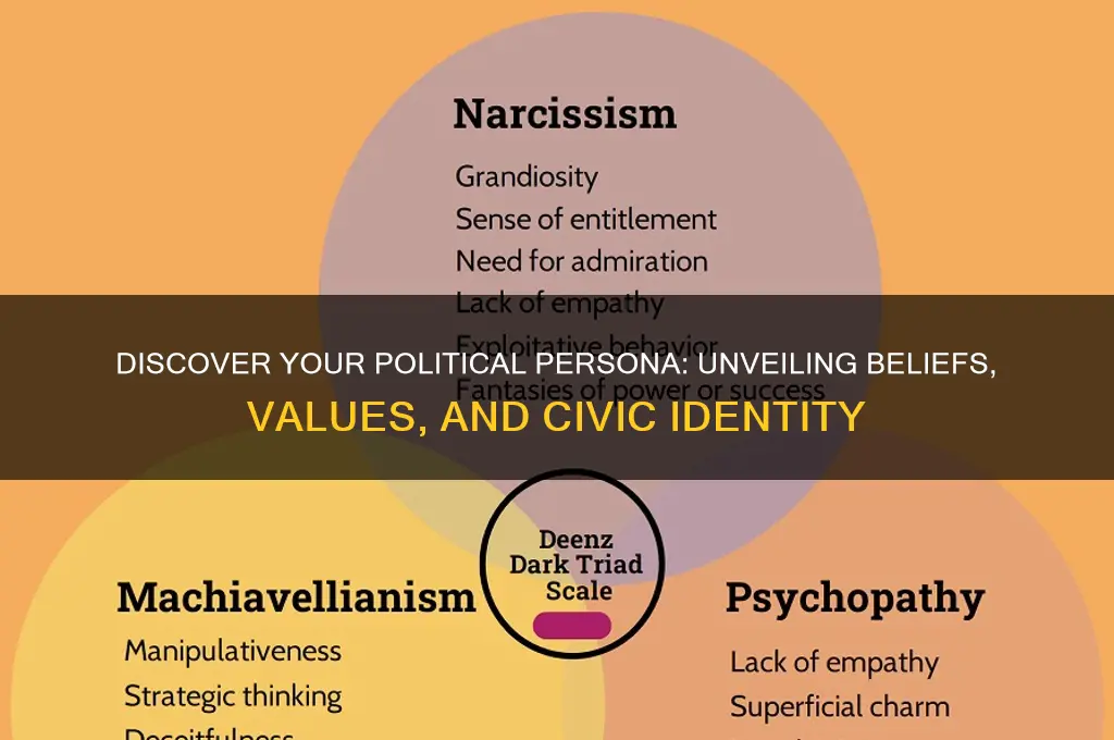 what is your political persona