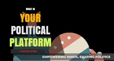 Crafting My Political Platform: Core Values, Policies, and Vision for Change