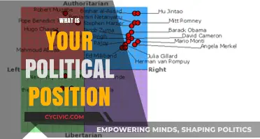 Exploring Political Beliefs: Understanding Your Position in Today's Divided World