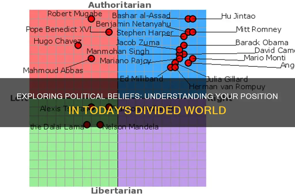 what is your political position