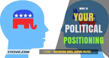 Understanding Your Political Positioning: A Comprehensive Guide to Beliefs and Values
