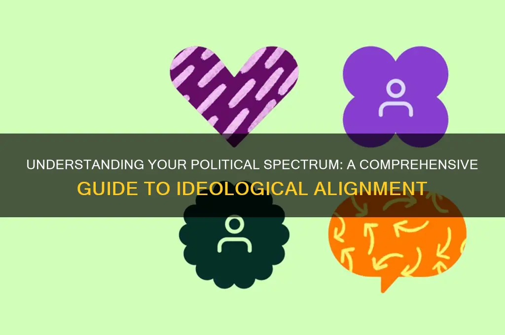 what is your political spectrum