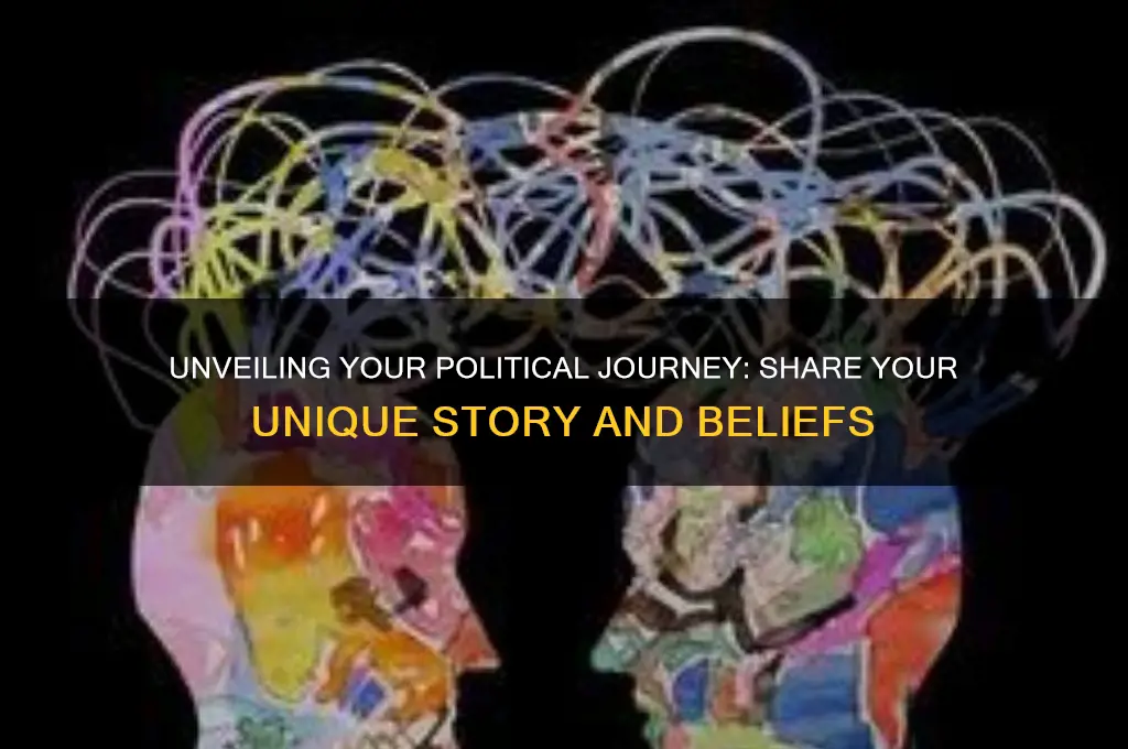 what is your political story