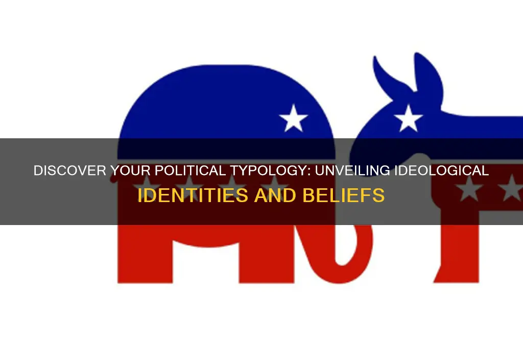 what is your political typology