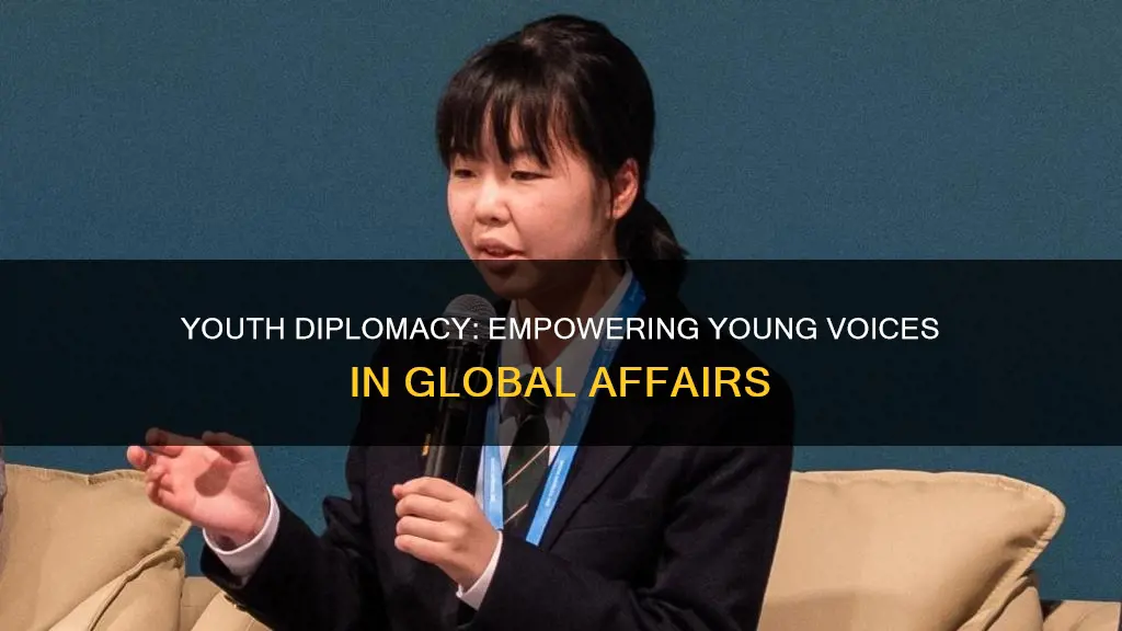what is youth diplomacy