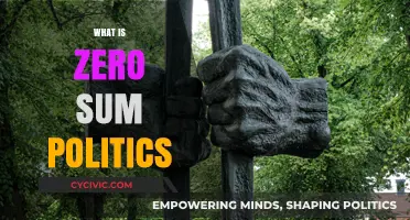 Understanding Zero-Sum Politics: Winners, Losers, and the Battle for Power