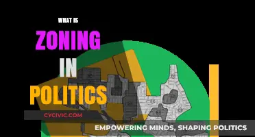 Understanding Zoning Laws: Political Impact on Land Use and Development