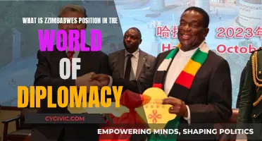 Zimbabwe's Diplomacy: A Global Perspective