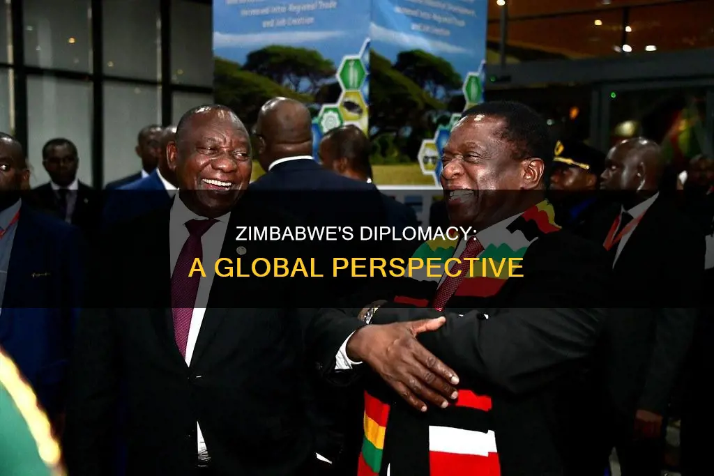 what is zzimbabwes position in the world of diplomacy