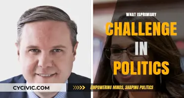 Navigating the Primary Challenge: Politics' Complex Path to Power