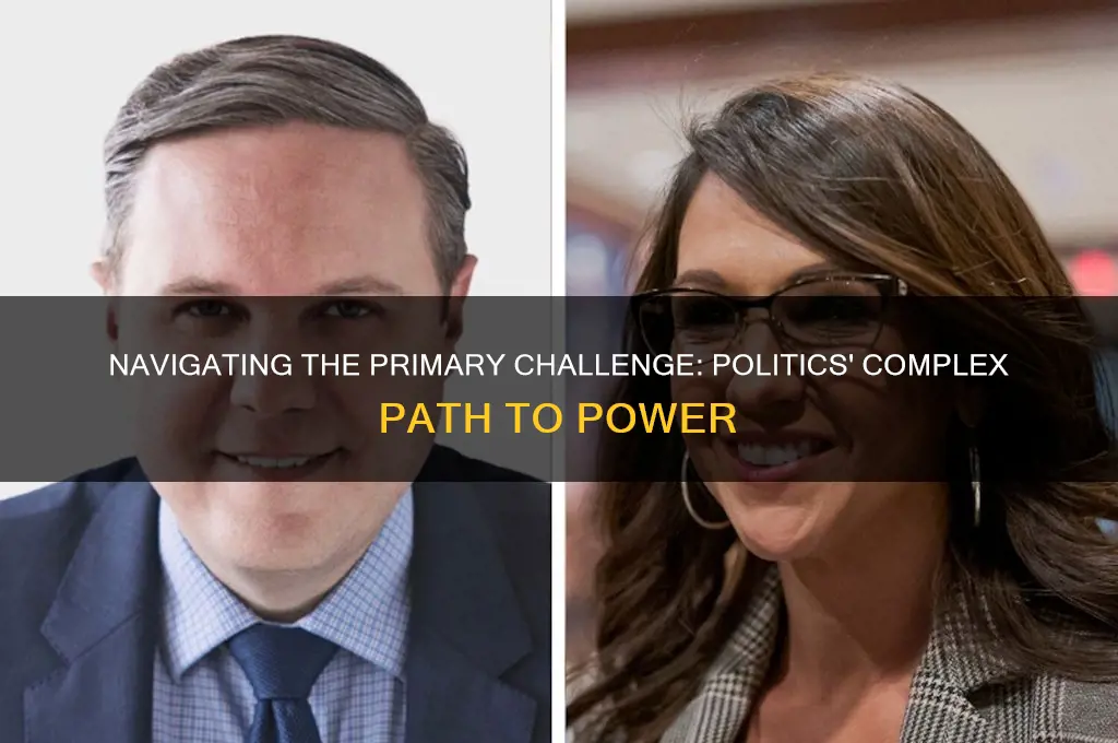 what isprimary challenge in politics