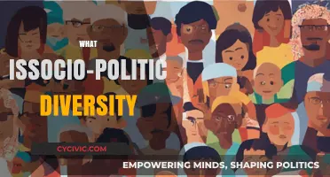 Understanding Socio-Political Diversity: A Comprehensive Exploration of Its Meaning and Impact