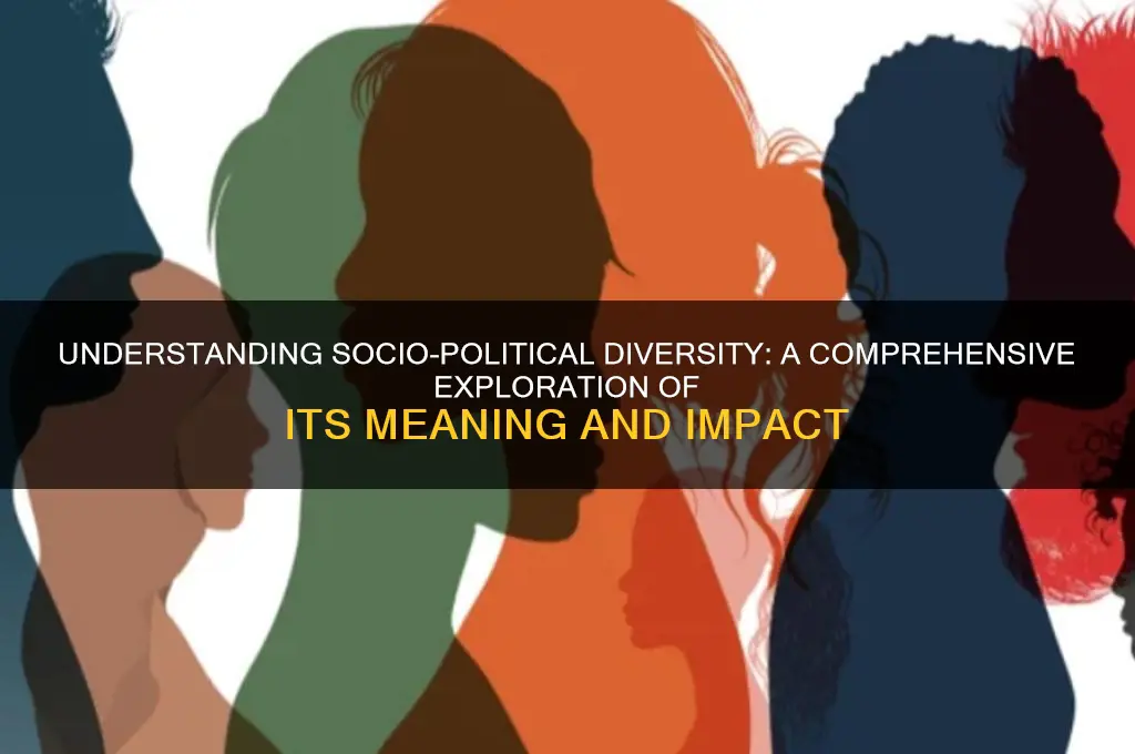 what issocio-political diversity