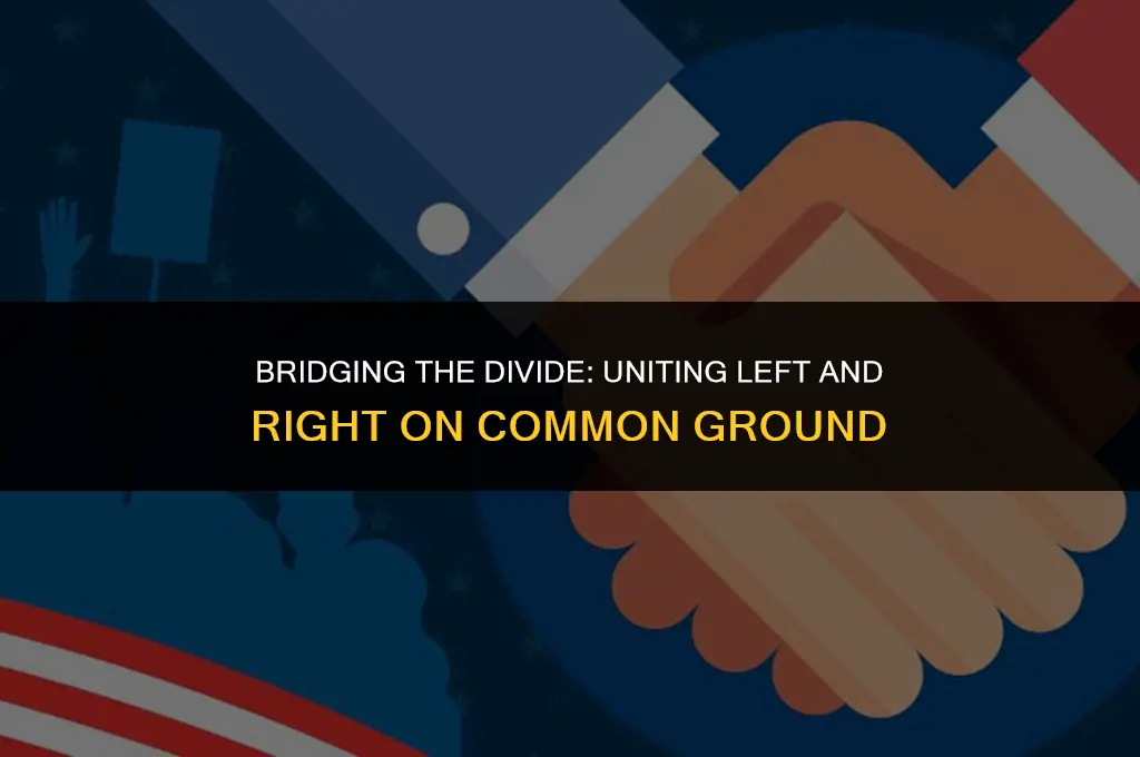 what issue can both sides of the political spectrum agree