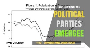 How Deepening Ideological Divides Birthed Two Dominant Political Parties