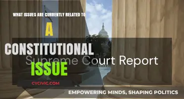 Current Constitutional Issues: What's Happening Now?